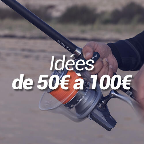 Idees cadeaux 50 à 100€